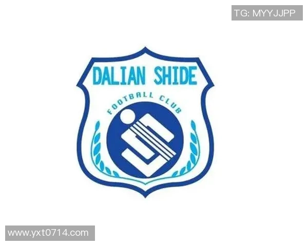 辽宁足球明星队队徽的设计理念与文化内涵探讨