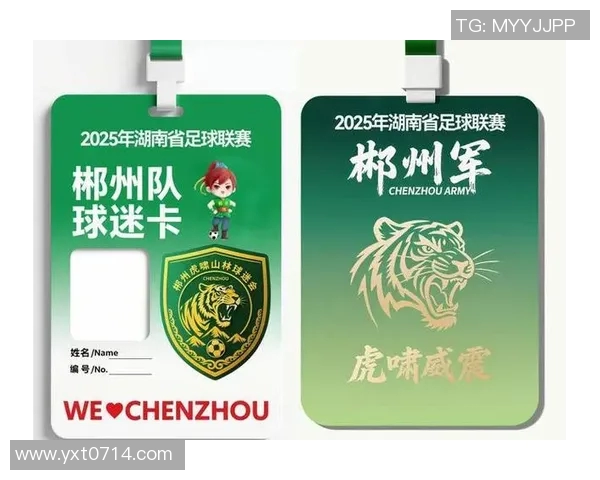 郴州足球明星最新阵容揭晓球迷们期待的本土球员名单一览